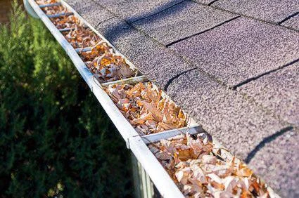 Mississauga Eavestrough Cleaning 